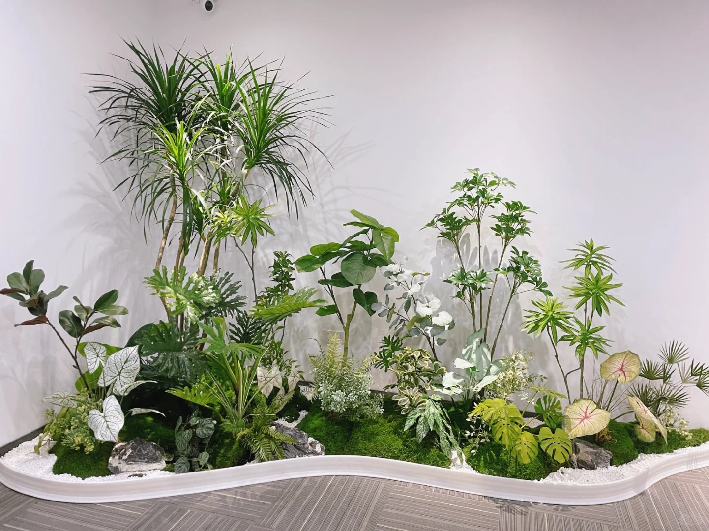 专业绿植租赁,让宁波余姚焕发生机与活力